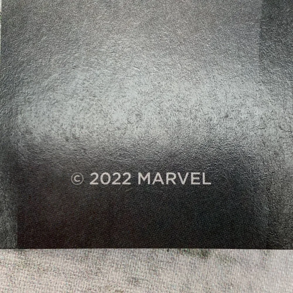Marvel Ghost‎ Rider #4 LGY#247 Peach MomoKo Variant Edition Comic Book Limited